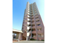 �h�D�O�����呺